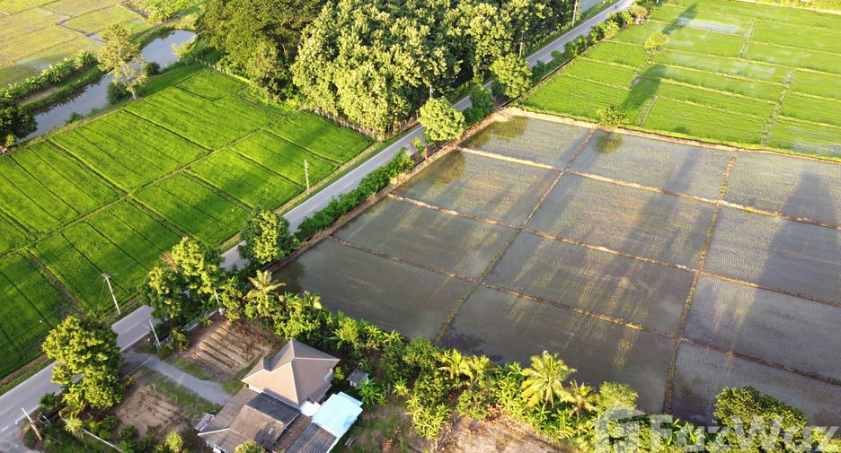 For sale land in San Kamphaeng, Chiang Mai