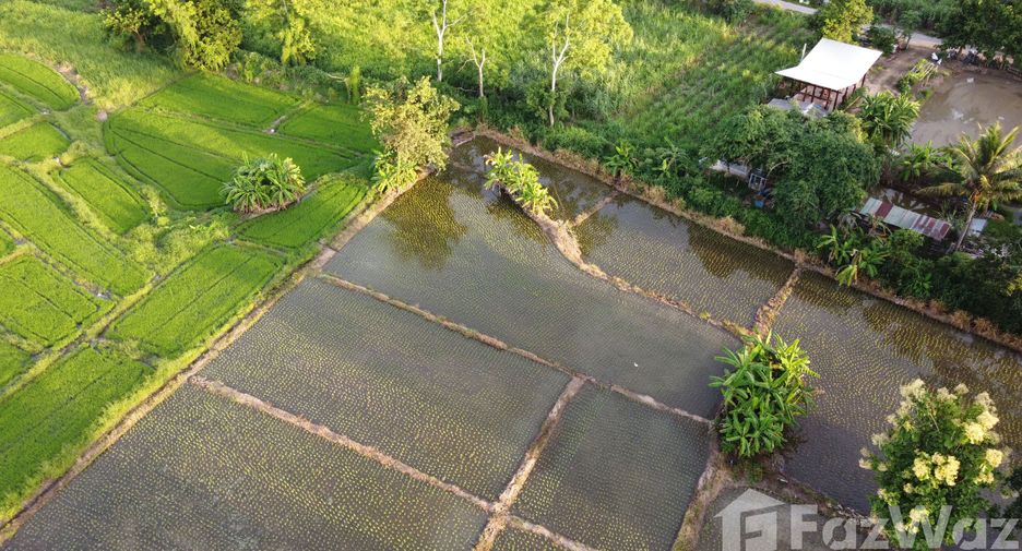 For sale land in San Kamphaeng, Chiang Mai