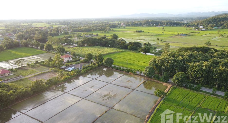 For sale land in San Kamphaeng, Chiang Mai