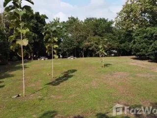 出售 土地 在 San Pa Tong, Chiang Mai