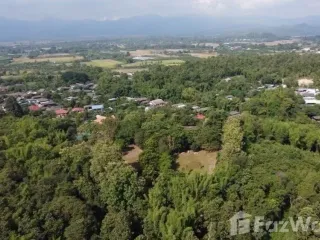 出售 土地 在 San Pa Tong, Chiang Mai