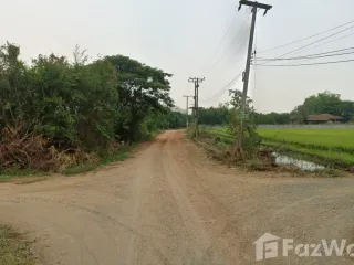 Terreno en venta en Mae Rim, Chiang Mai