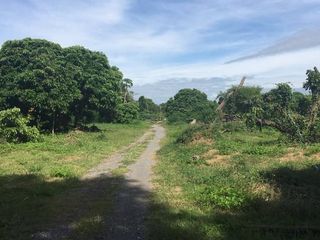 出售 土地 在 Saraphi, Chiang Mai