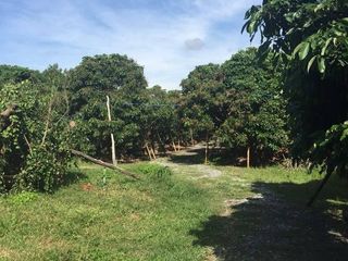 出售 土地 在 Saraphi, Chiang Mai