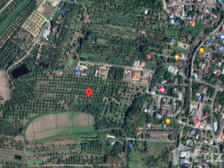 出售 土地 在 Saraphi, Chiang Mai