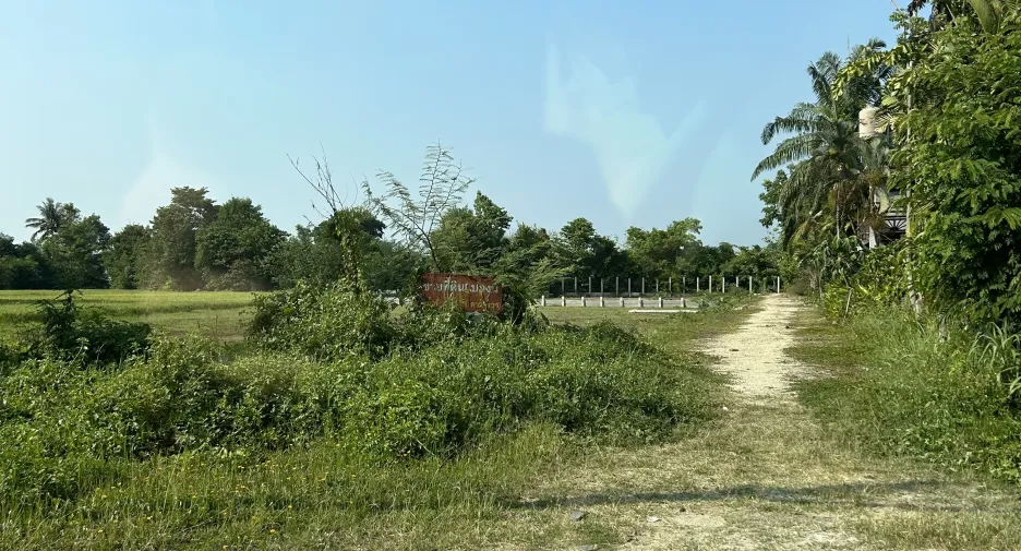 Grundstück zum Kauf in San Kamphaeng, Chiang Mai