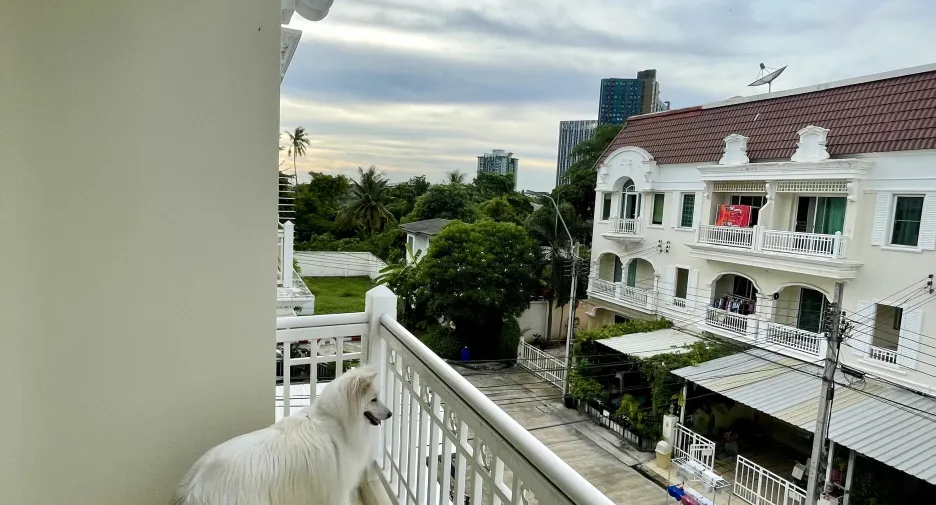 For sale 3 bedrooms townhouse in Phasi Charoen, Bangkok