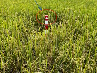 For sale land in San Kamphaeng, Chiang Mai