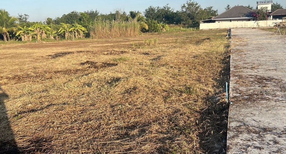 For sale land in San Pa Tong, Chiang Mai
