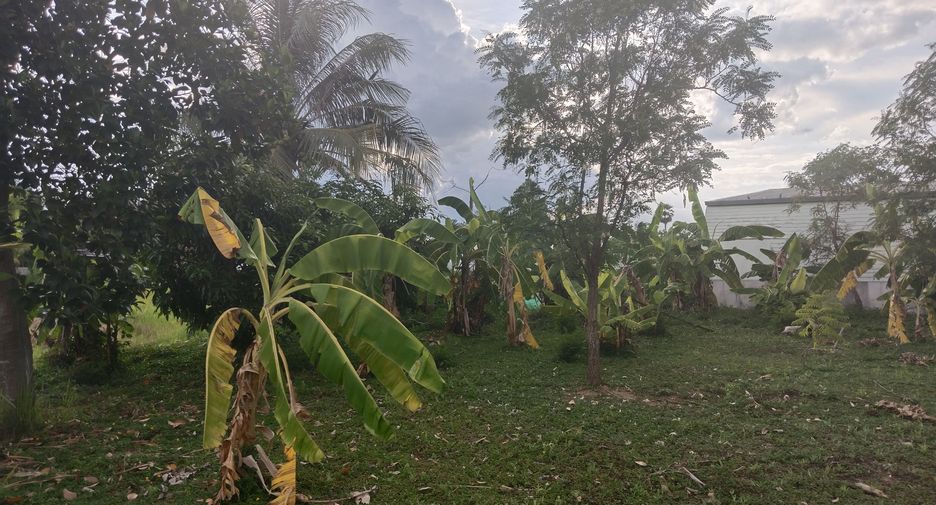 Terreno en venta en San Sai, Chiang Mai