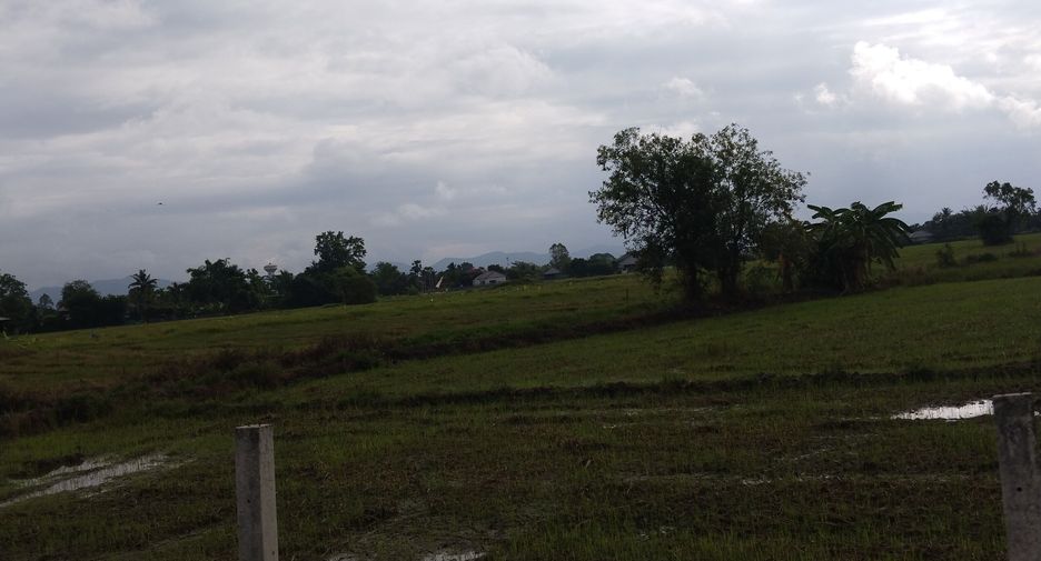 Terreno en venta en San Sai, Chiang Mai