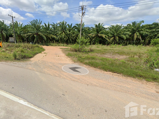 ขาย ที่ดิน ใน เมืองชุมพร, ชุมพร