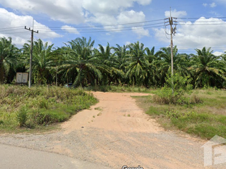 ขาย ที่ดิน ใน เมืองชุมพร, ชุมพร