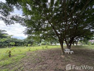 For sale land in San Sai, Chiang Mai