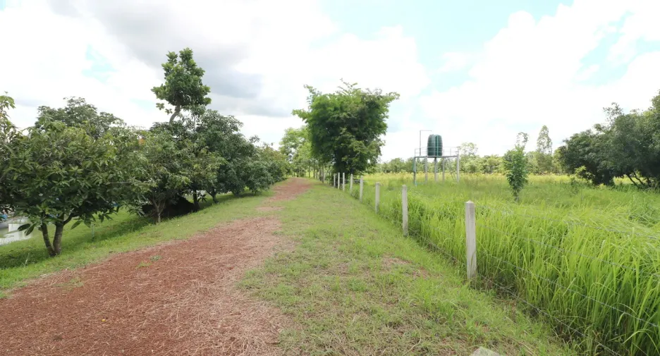 For sale 4 bedrooms house in Wanon Niwat, Sakon Nakhon