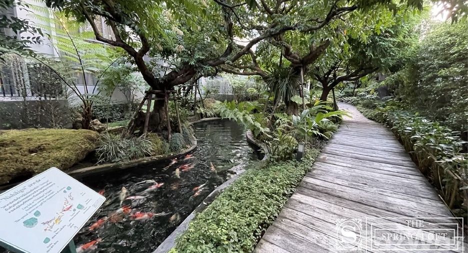 Wohnung zur Miete mit 1 Zimmer in Mueang Chiang Mai, Chiang Mai