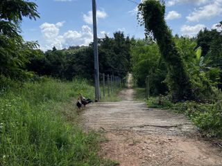 For sale land in Mae Taeng, Chiang Mai