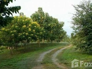 Grundstück zum Kauf in Mae Rim, Chiang Mai