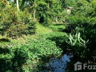 Grundstück zum Kauf in Mae Rim, Chiang Mai