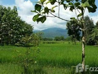 Grundstück zum Kauf in Mae Rim, Chiang Mai