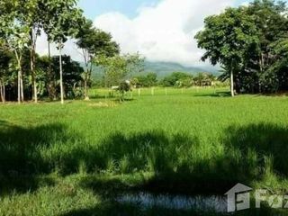 Grundstück zum Kauf in Mae Rim, Chiang Mai