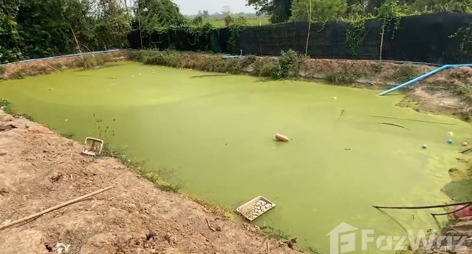 For sale land in San Kamphaeng, Chiang Mai