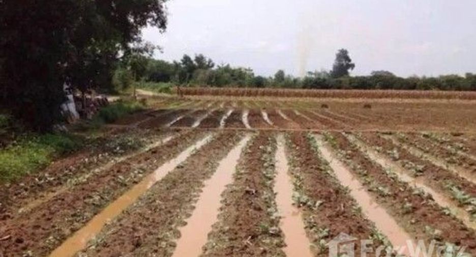 For sale land in Mae Rim, Chiang Mai