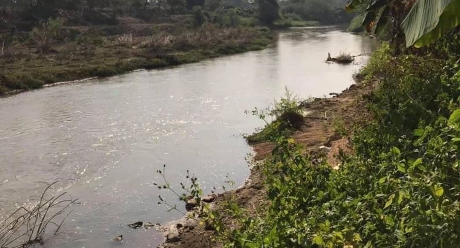 For sale land in Mae Rim, Chiang Mai