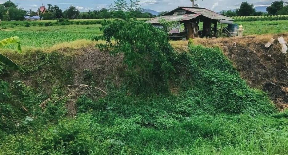 For sale land in Mae Rim, Chiang Mai