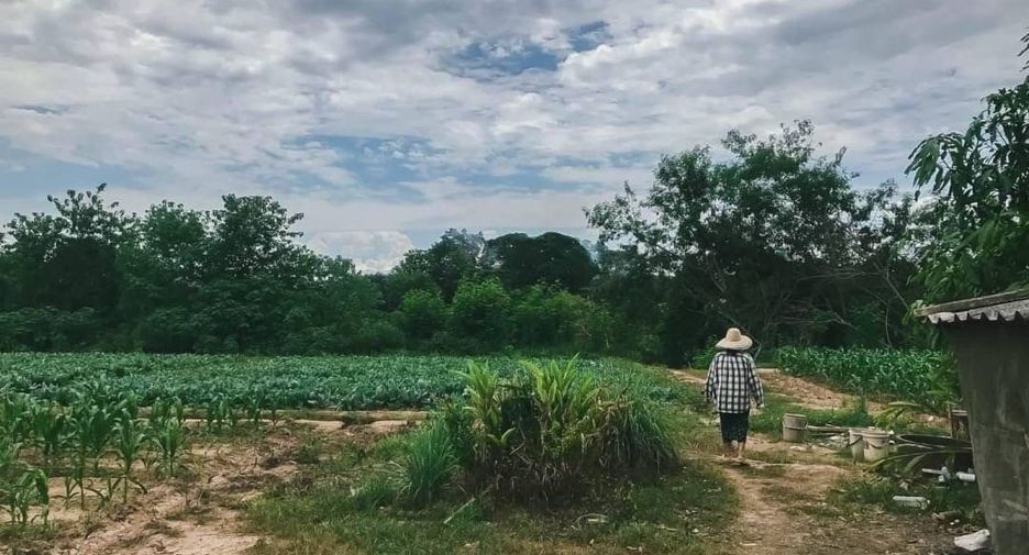 For sale land in Mae Rim, Chiang Mai