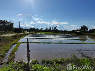 For sale land in San Kamphaeng, Chiang Mai