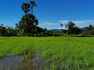 For sale land in San Kamphaeng, Chiang Mai