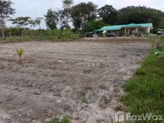 Casa en venta de 2 habitaciones en Suan Phueng, Ratchaburi