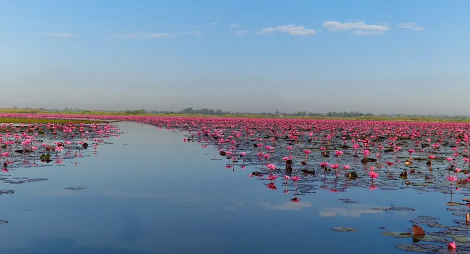 ให้เช่า 2 ห้องนอน วิลล่า ใน ประจักษ์, อุดรธานี