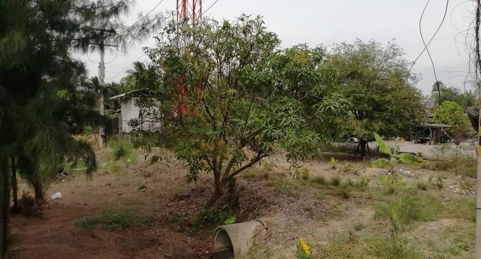 Grundstück zum Kauf in Sam Roi Yot, Prachuap Khiri Khan