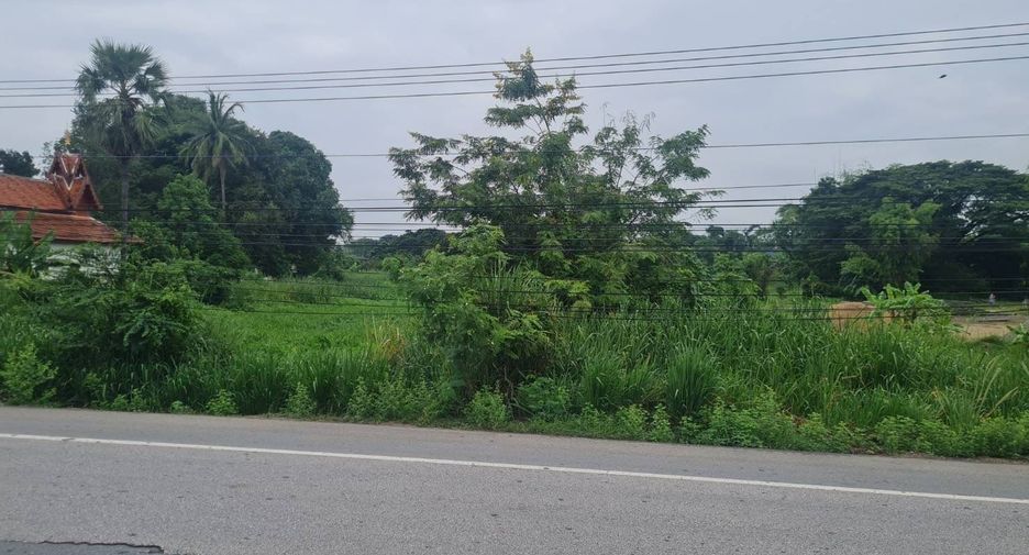 For sale land in Doi Lo, Chiang Mai