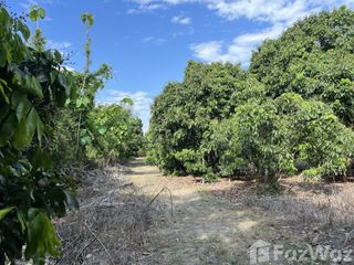 For sale land in Hang Dong, Chiang Mai