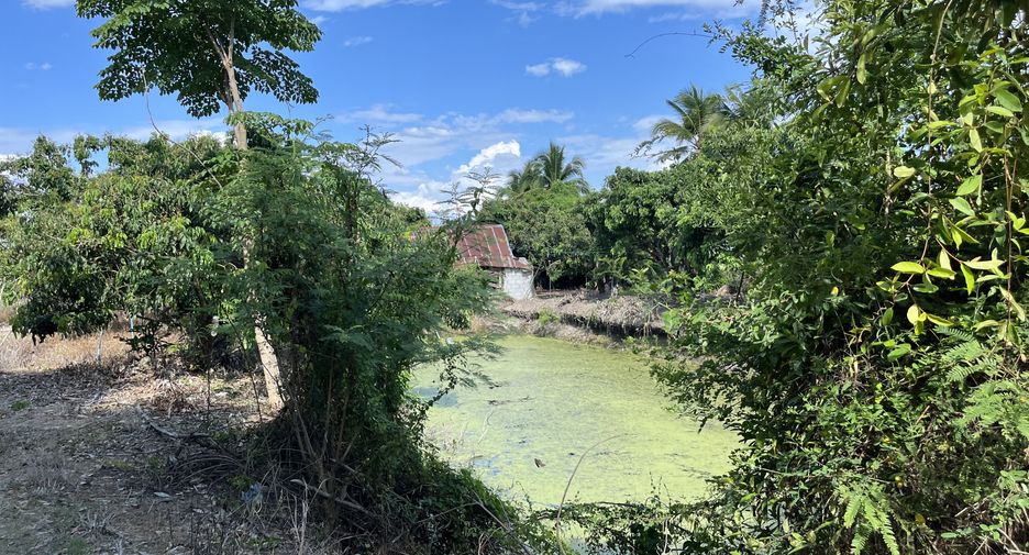 For sale land in Hang Dong, Chiang Mai