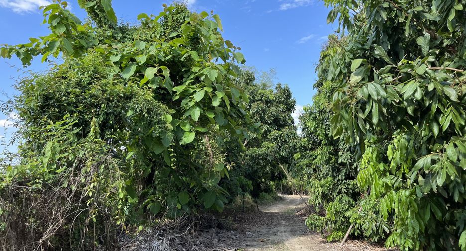 For sale land in Hang Dong, Chiang Mai
