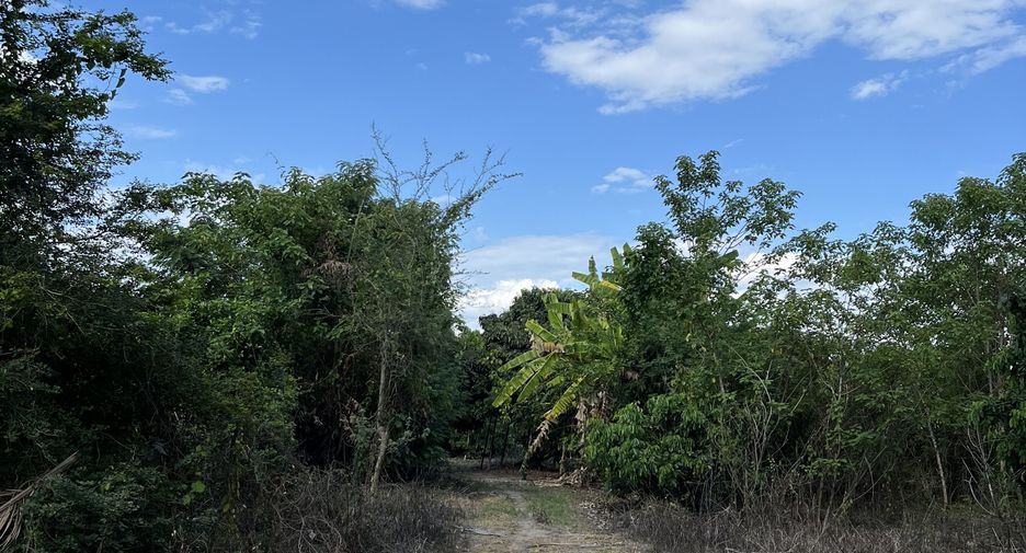 For sale land in Hang Dong, Chiang Mai