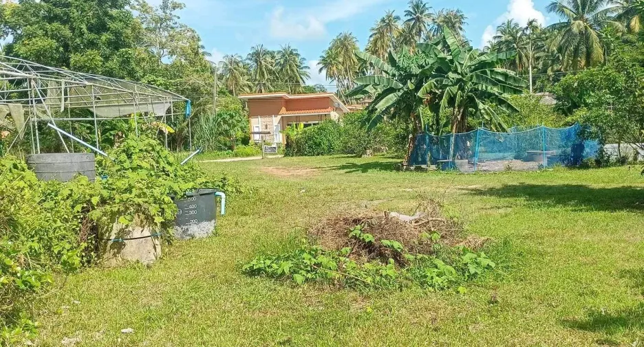 For sale land in Mueang Chumphon, Chumphon
