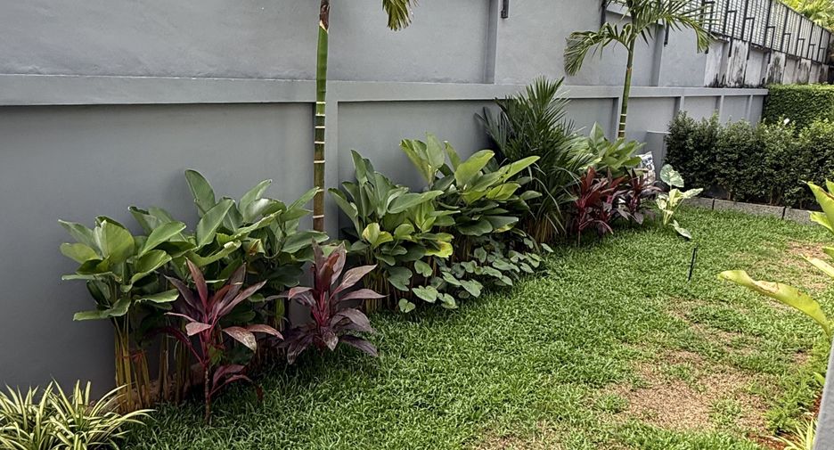 For sale and for rent 2 bedrooms townhouse in Thalang, Phuket