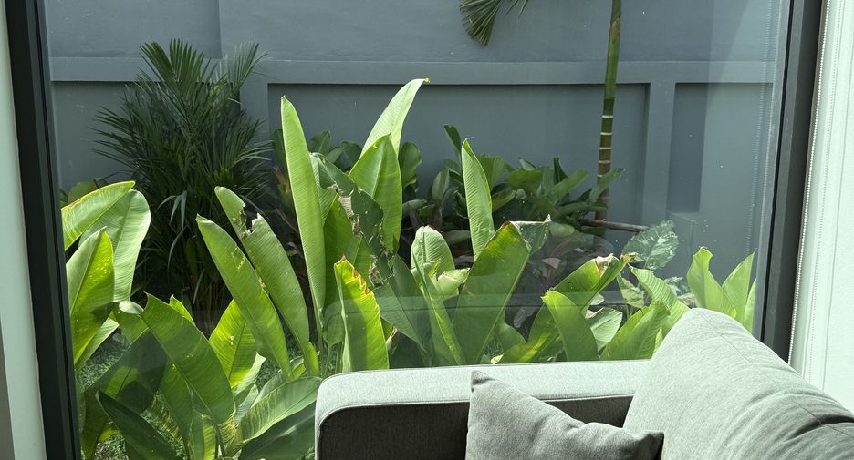 For sale and for rent 2 bedrooms townhouse in Thalang, Phuket