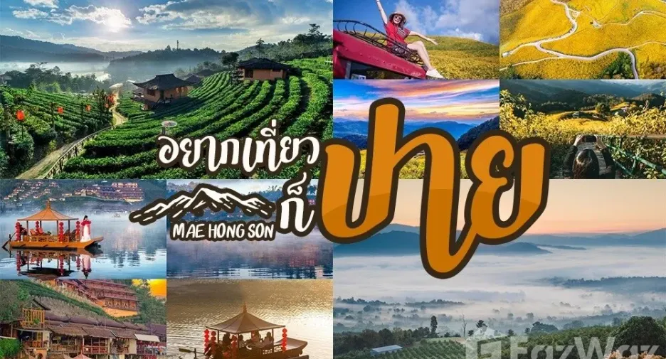 For sale land in Pai, Mae Hong Son