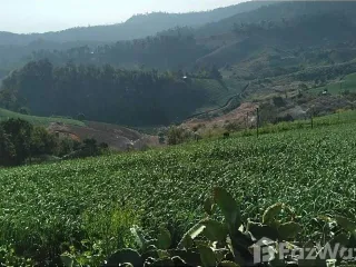 出售 土地 在 Pai, Mae Hong Son