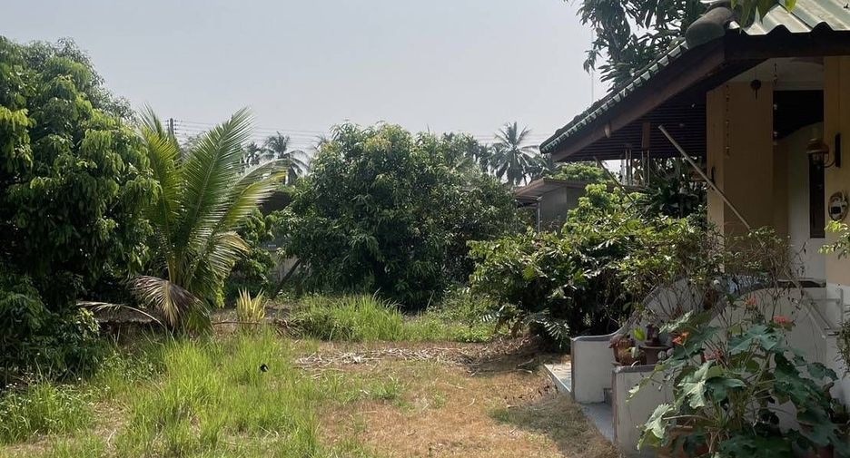 For sale land in Saraphi, Chiang Mai