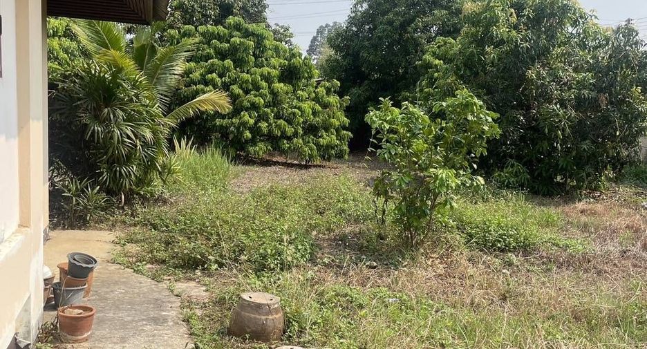 For sale land in Saraphi, Chiang Mai