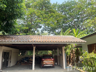 出售 土地 在 Saraphi, Chiang Mai