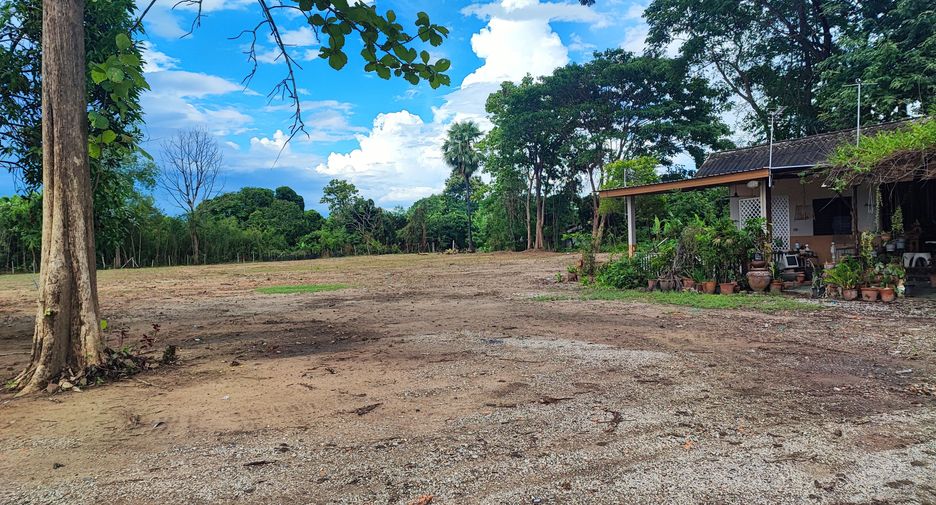 For sale land in Saraphi, Chiang Mai