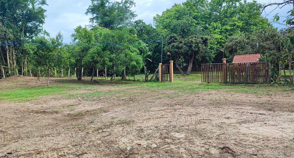 For sale land in Saraphi, Chiang Mai